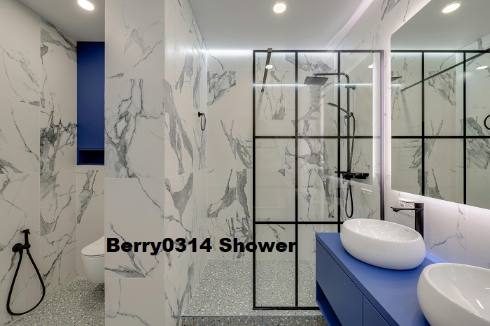 Berry0314 Shower: Unfold the World of Luxurious Refreshment