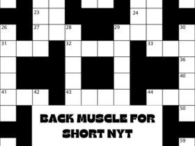 Back Muscle for Short NYT