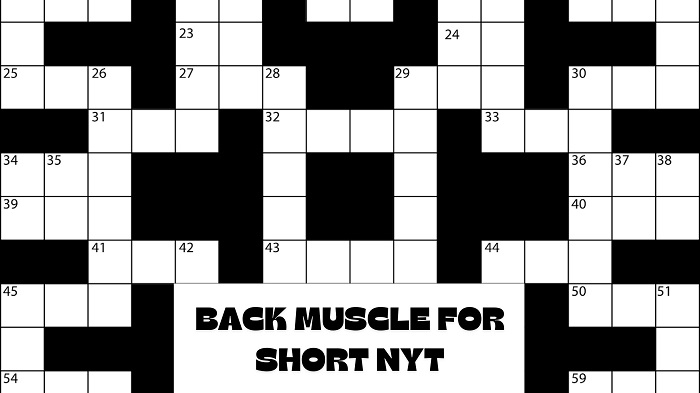 Back Muscle for Short NYT