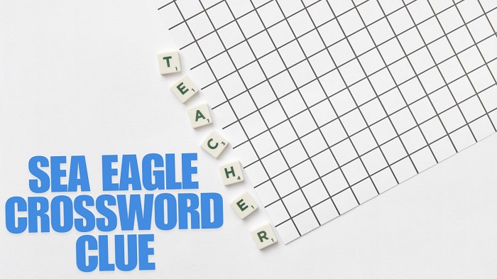 Sea Eagle Crossword Clue