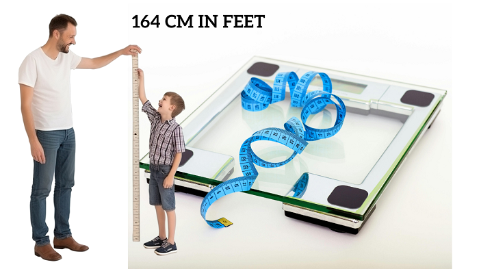 164 Cm In Feet Your Go To Guide Load To Learn 164 Cm In Feet Your Go To Guide Load To Learn