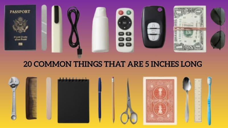 Things That Are 5 Inches Long