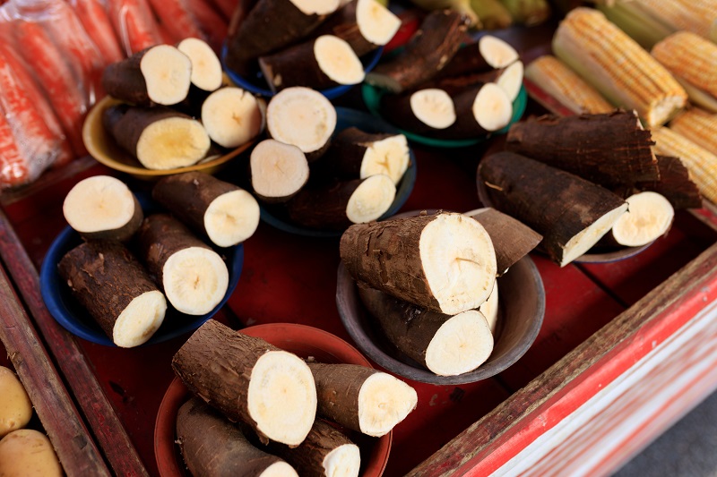 Best Sonso Yuca Near Me